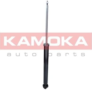 Shock absorber rear 2001021