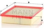 Air Filter C33017