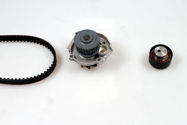 Water Pump & Timing Belt Kit PK12010