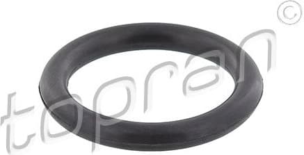 Gasket, intake manifold 304 040