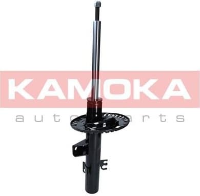 Shock absorber front 2000483
