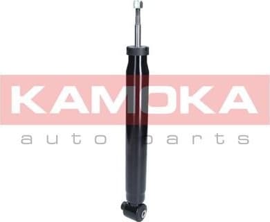 Shock absorber rear 2000976