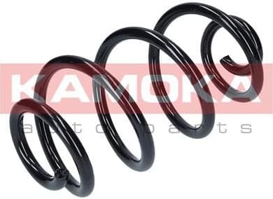 Suspension Spring 2120311 - image 4