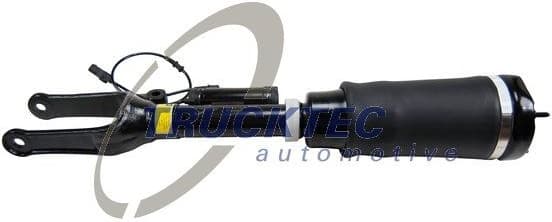Air Suspension Strut 02.30.377