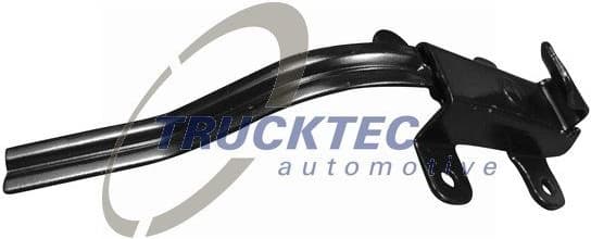 Door Check 02.53.231