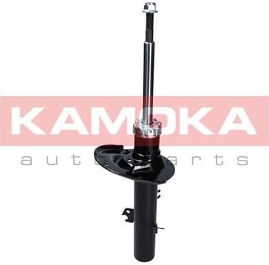 Shock absorber front 2000142