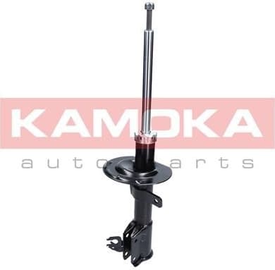 Shock Absorber 2000205