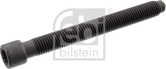 Cylinder Head Bolt 18146