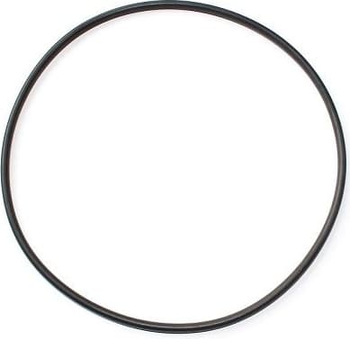 Seal Ring, cylinder liner 249.230
