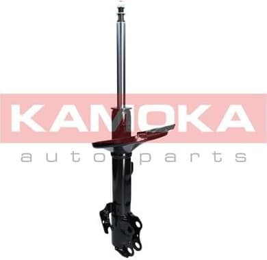 Shock absorber front 2000421