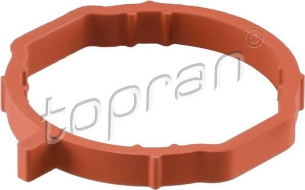 Gasket, intake manifold 113 889