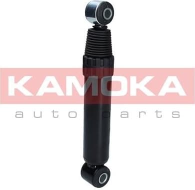 Shock Absorber 2000969