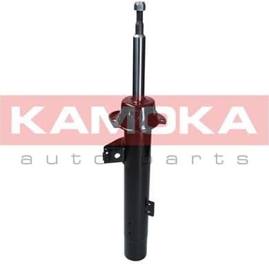 Shock absorber front 2000296