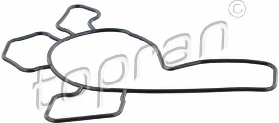 Gasket, water pump 205 932