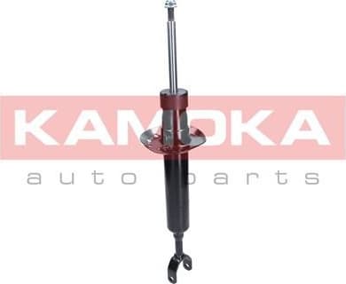 Shock absorber front 2000713