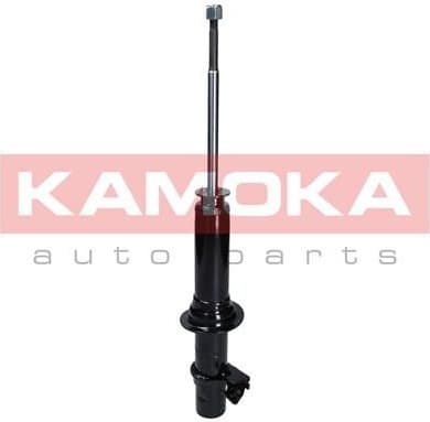 Shock Absorber 2000663