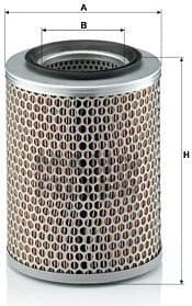 Air Filter C17134