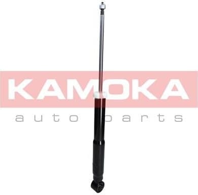 Shock Absorber 2000963
