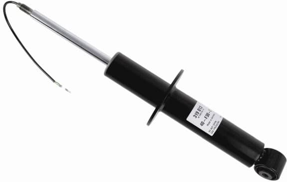 Shock Absorber CDC 319 013