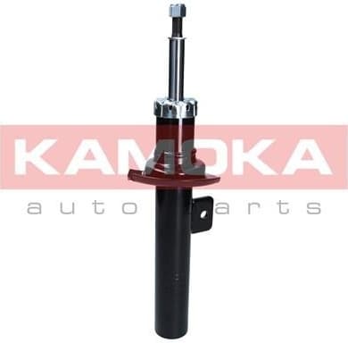 Shock Absorber 2001049