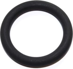 Seal Ring 003.360