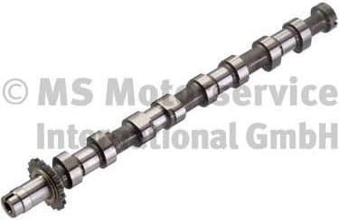 Camshaft 50007089