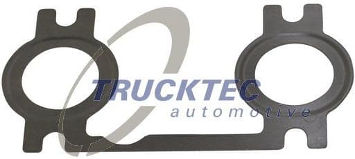 Gasket, exhaust manifold 01.16.096