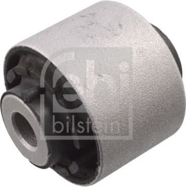 Mounting, control/trailing arm 102453