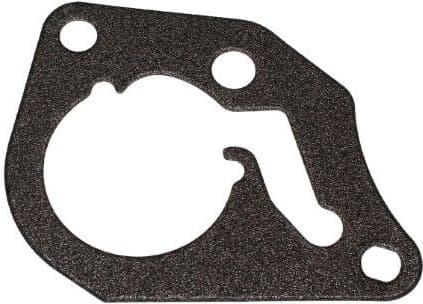 Gasket, vacuum pump 331.831