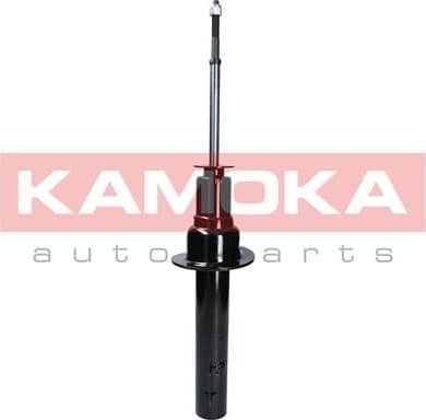Shock absorber front 2000027