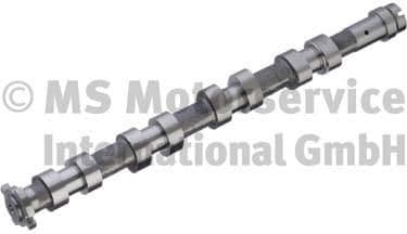 Camshaft 50007069
