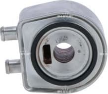 Oil Cooler, engine oil 31769