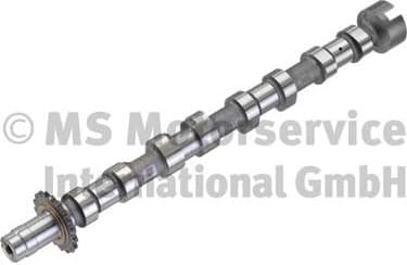 Camshaft 50007012