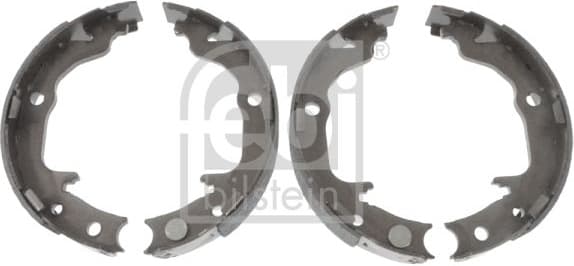 Brake Shoe Set, parking brake 171039