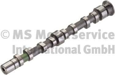 Camshaft 50007035
