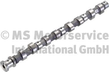 Camshaft 50007068