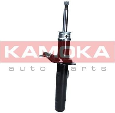 Shock absorber front 2001051