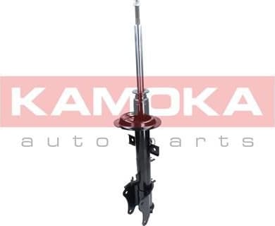 Shock absorber rear 2000389