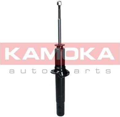 Shock absorber front 2000711