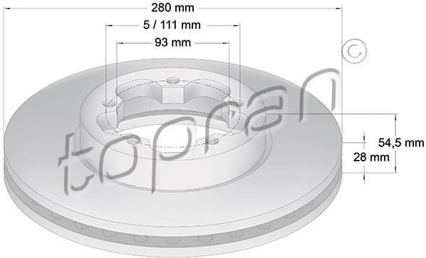 Brake Disc 303 972