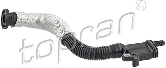 Hose, cylinder head cover ventilation 116 664