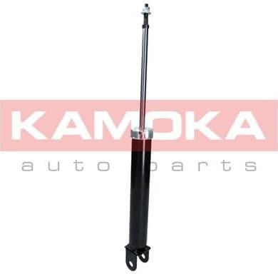 Shock Absorber 2000879
