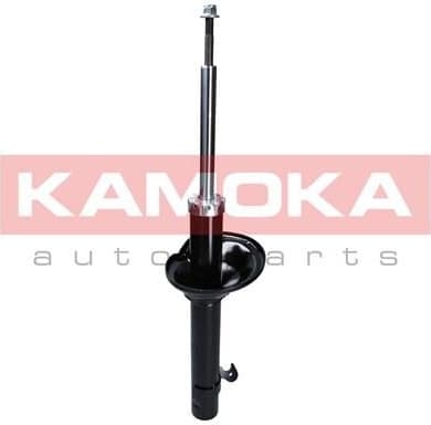Shock Absorber 2000281