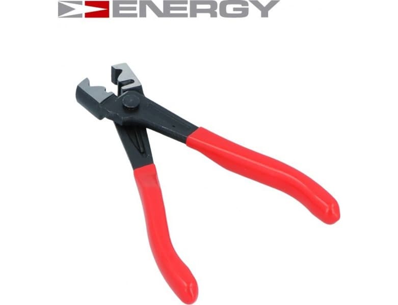 Automobilis: FORD C-MAX II (DXA/CB7, DXA/CEU) 2.0 Energi 103kW from 201501