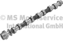Camshaft 50007710