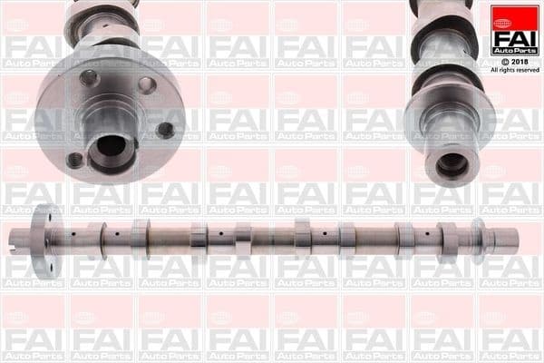 Camshaft C352