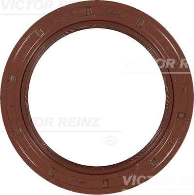 Shaft Seal, crankshaft 81-16737-20