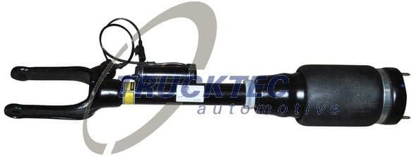 Air Suspension Strut 02.30.170