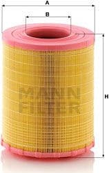 Air Filter C29010