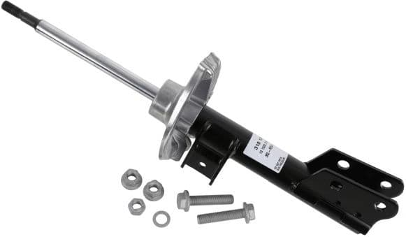 Shock Absorber 318 131